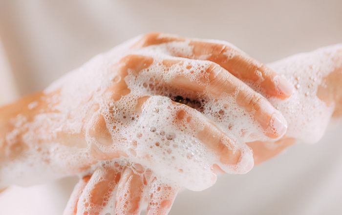 Clean Hands, Safe Eats - FoodHandler